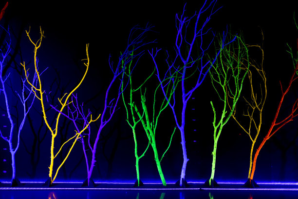 霓虹黑树，反射多彩的显示图片下载