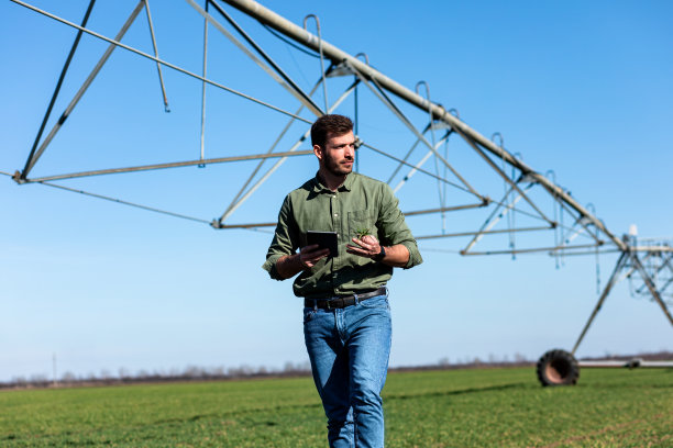 年轻的农民站在麦田里，在平板上设置灌溉系统。图片下载