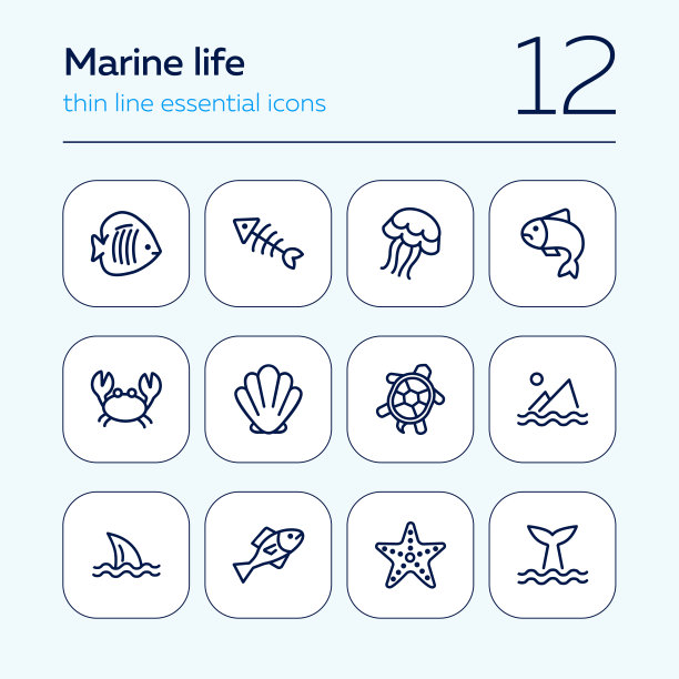 海洋生物的图标图片下载