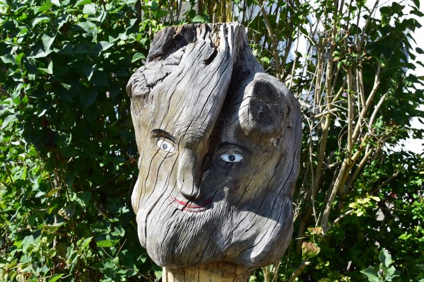 根的怪物图片下载