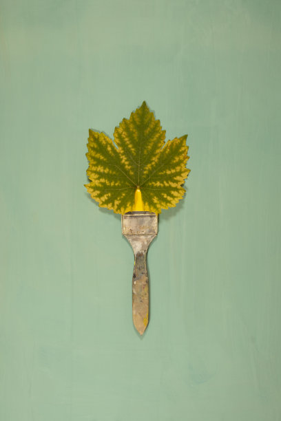 用树叶刷。图片下载