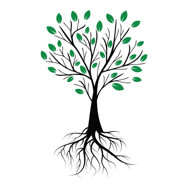 矢量插图绿色春天树与树叶和根图片下载