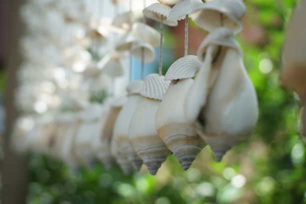 手机外壳图片下载