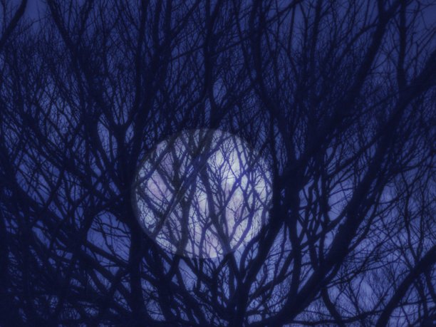 万圣节之夜图片下载