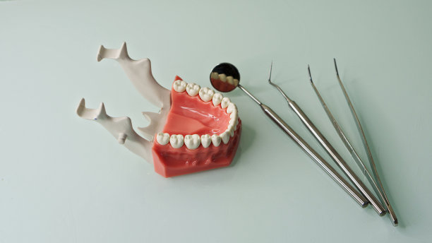 人、牙科工具的下颚布局图片下载