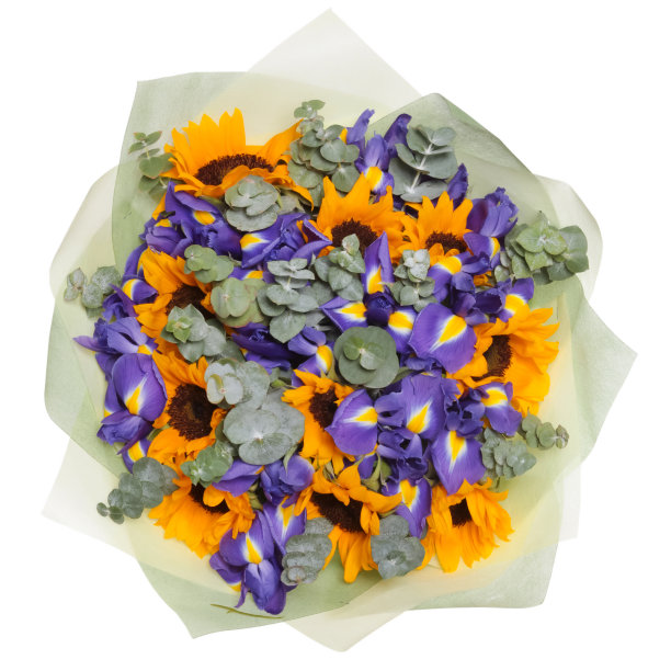 许多不同的花的花束图片下载