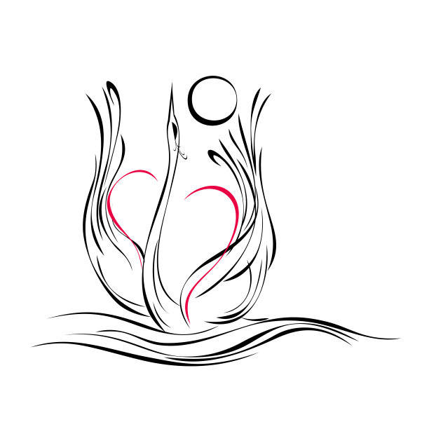 天鹅27图片下载