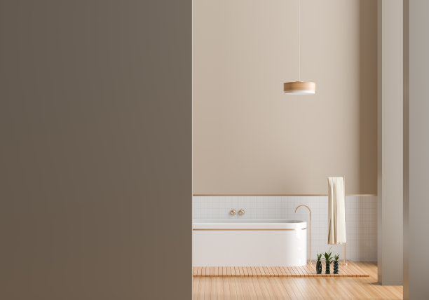 现代宽敞的浴室内部与空墙的模型。3 d演示。图片下载
