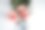 甜蜜生活玫瑰，白色礼盒图片下载