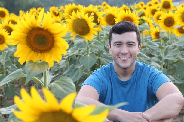 一个西班牙人在充满活力的向日葵地里图片下载