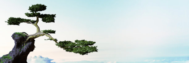 老树长在岩石前面的天空，梦幻的风景图片下载