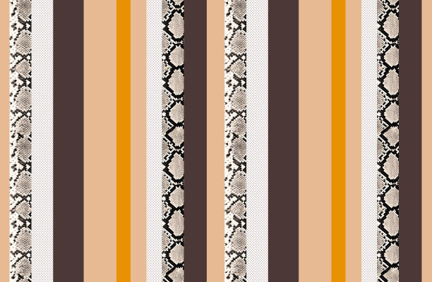 蛇的皮肤条纹图片下载