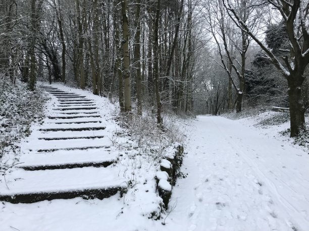 下雪天图片下载
