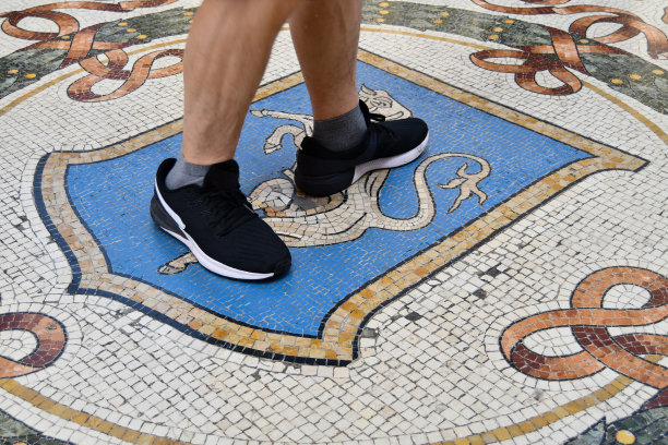 维托里奥·埃马努埃莱画廊下的公牛马赛克图片下载