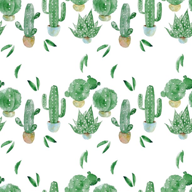 仙人掌水彩无缝图案。水彩手绘插图。植物的背景图片下载