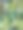 多汁的丛林图片下载