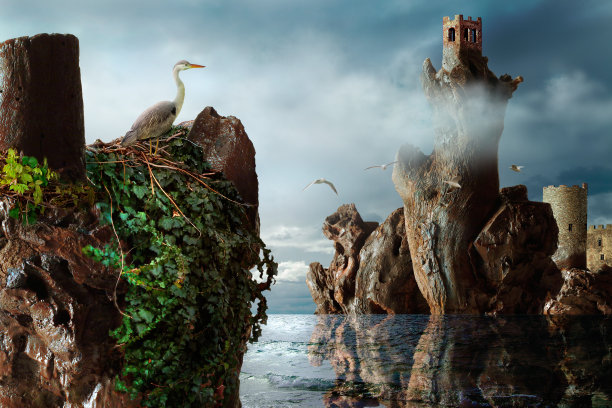 黑暗风景中各种鸟类的蒙太奇照片图片下载