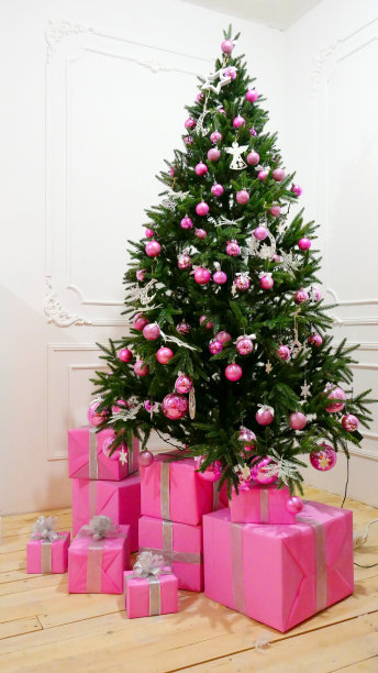 装饰冬季圣诞节的松树图片下载