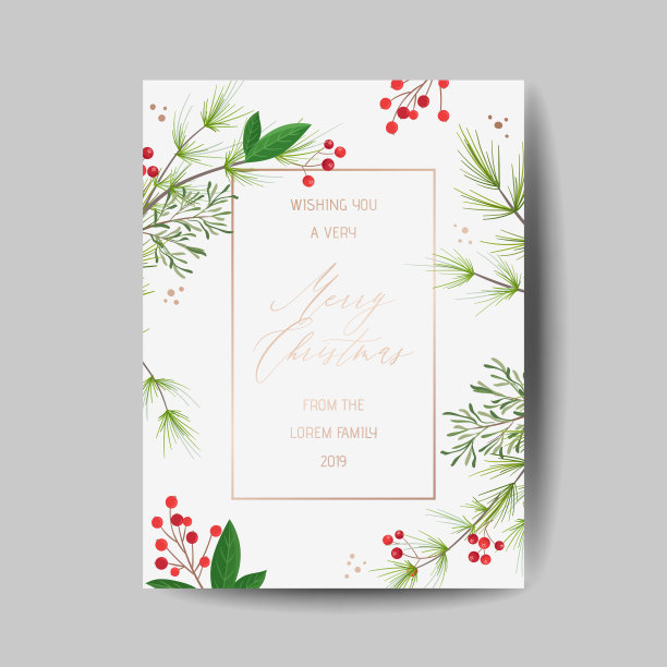 优雅的圣诞和新年贺卡与松树花环，槲寄生，冬季植物设计插画的问候，2019年的邀请，传单，小册子，封面在矢量图片下载