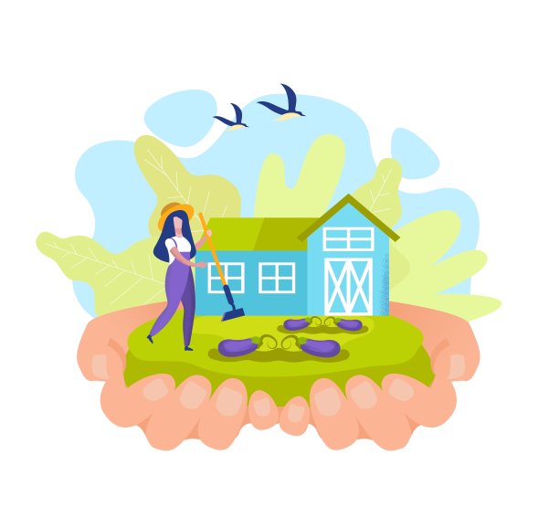 在花园里用园艺工具的女人。长茄子。图片下载