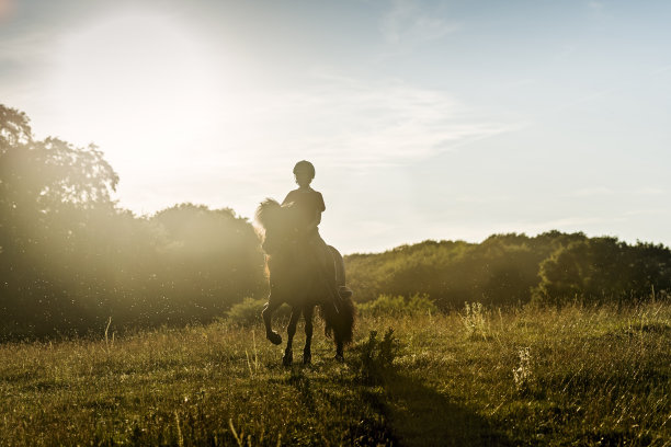 骑着冰岛马的年轻女孩。图片下载