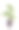 家绿色植物平面矢量插图孤立在白色的背景图片下载