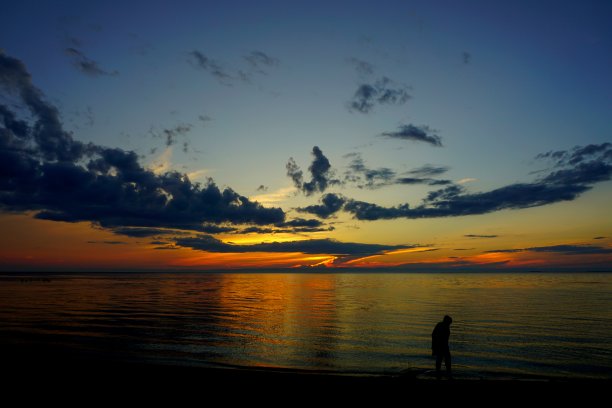 大使吐图片下载