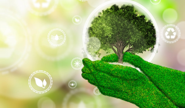 一个女人的手用纹理草抱着一棵微型树。环境生物多样性在生态系统概念与可再生能源符号素材图片