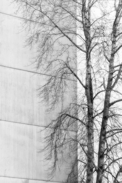 一棵树对着建筑的抽象背景图片下载