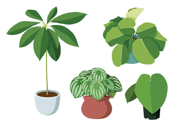 空气净化绿叶树在盆栽新鲜上的白色背景矢量插图图片下载