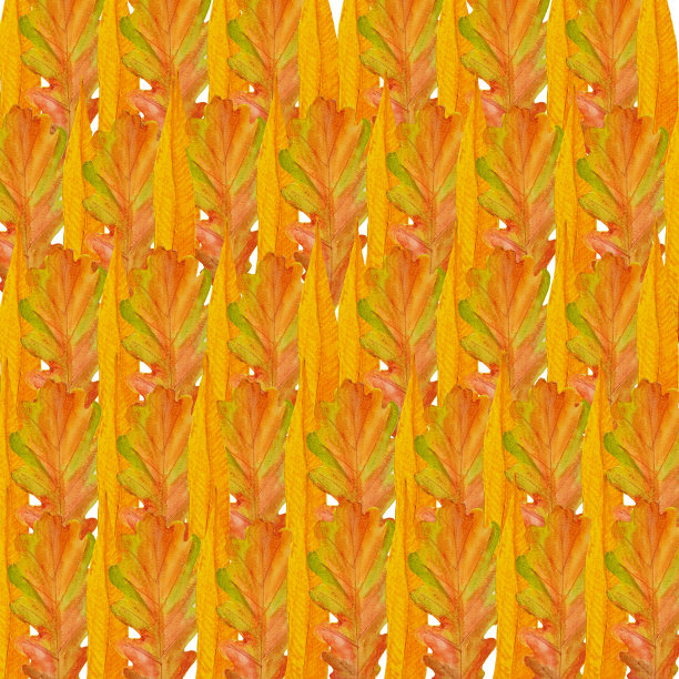 水彩图案与黄色的秋叶。图片下载