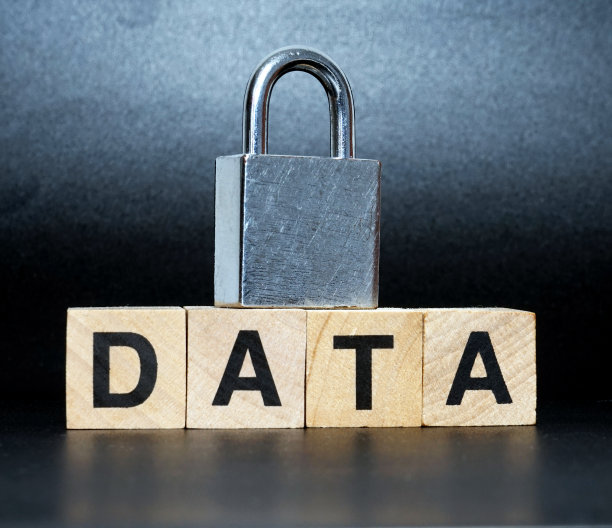 数据保护图片下载