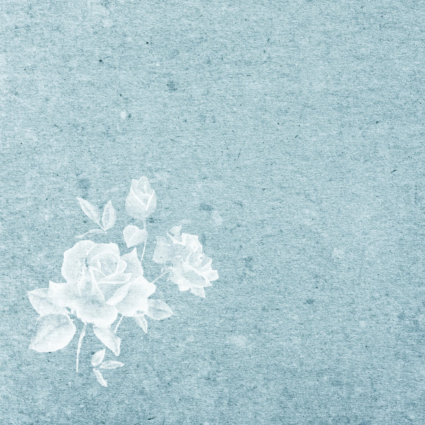 玫瑰花束图案方块卡片与文本框图片下载