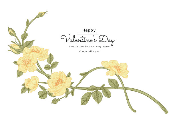 玫瑰花图纸。图片下载