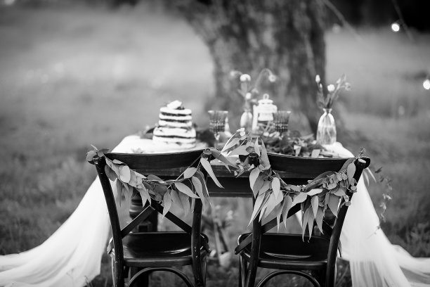 婚礼装饰桌与白色桌布装饰花卉组成和蛋糕在草地和松树的背景。乡村风格。黑白照片。图片下载