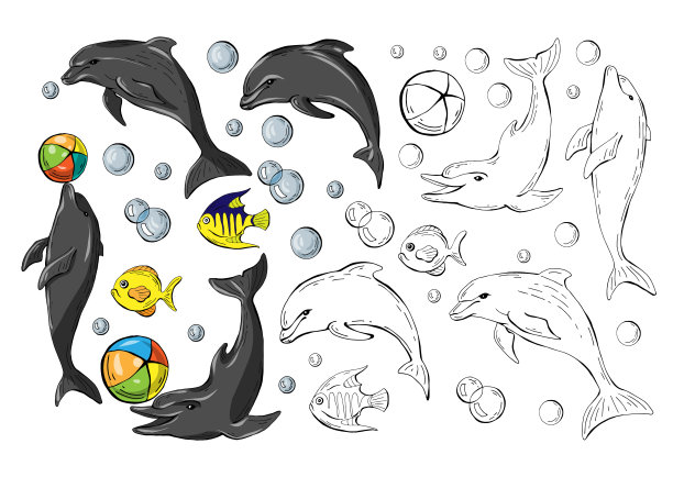 一套彩色海豚和鱼孤立在白色背景和单色复制，矢量图片下载