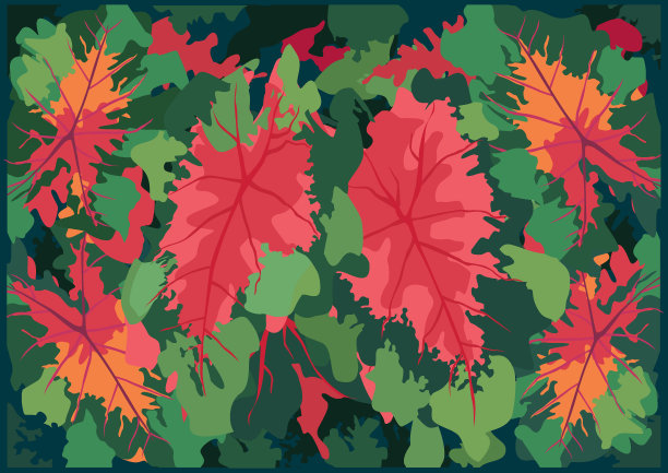 绿色红色的bon叶子和背景设计插画矢量图片下载