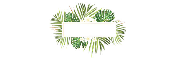 热带海滩。植物丛林棕榈背景。向量回归插图。绿色热带海滩横幅图片下载