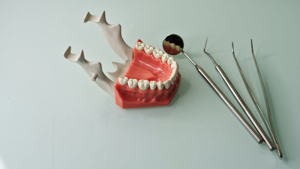 人、牙科工具的下颚布局图片下载