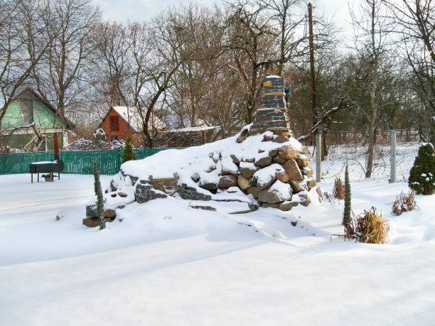 冬天在院子里。自然图片下载