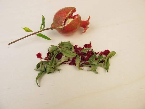 干石榴叶，石榴花和一个小石榴图片下载