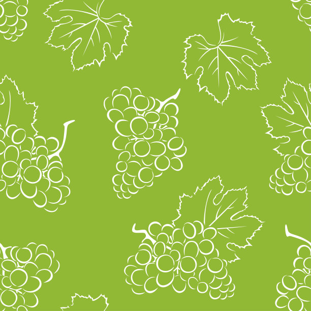 葡萄无缝图案上的绿色背景。矢量单色插图的浆果和树叶。轮廓图像。图片下载