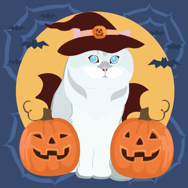 万圣节的幽灵白猫图片下载