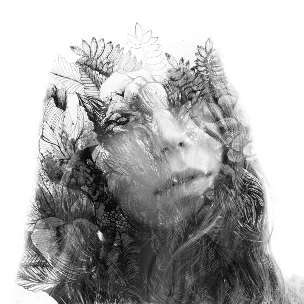 Paintography。一个年轻的自然美人的双重曝光轮廓，脸和头发结合手绘的叶子和花溶入背景，黑色和白色图片下载