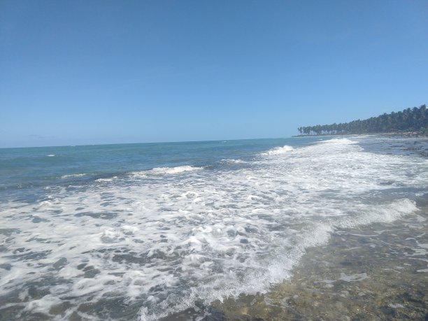 鸡港海滩/鸡港-伯南布科图片下载