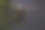 在星空的背景下，一棵棕榈树在晚上的照片。摄于澳大利亚东部图片下载