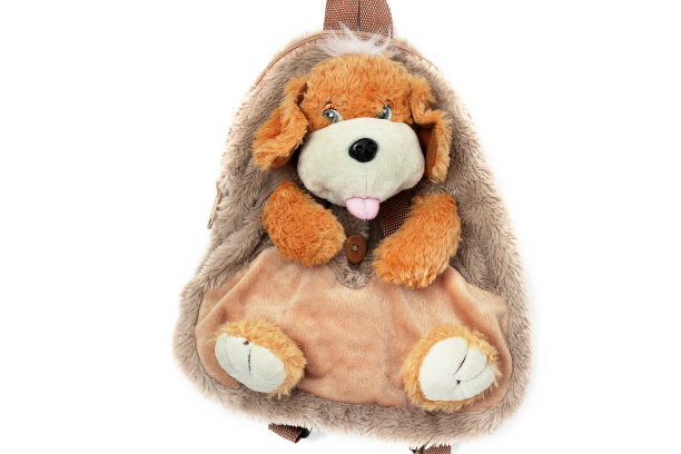 白色背景上的狗。背包图片下载