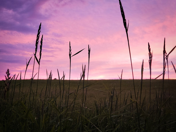 追逐的梦想图片下载
