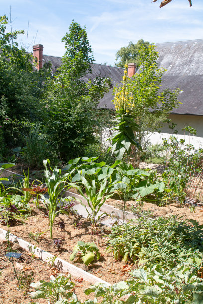 卢瓦尔的Chaumont花园景观公园图片下载