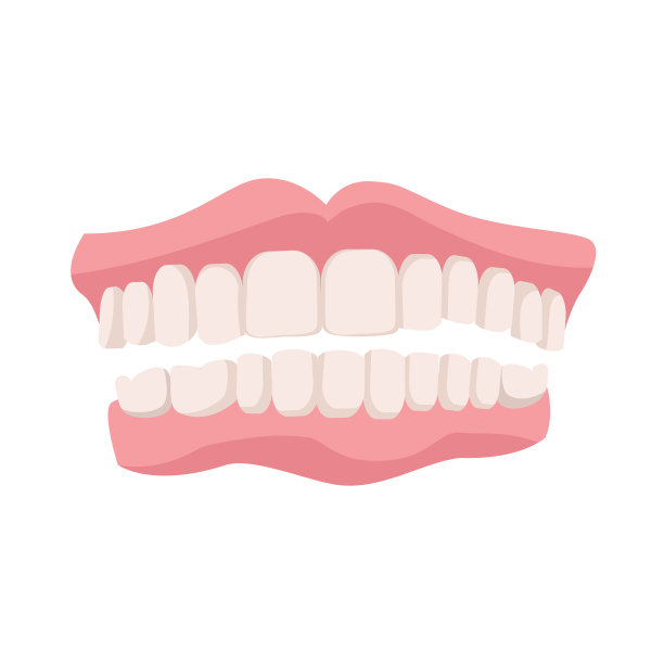 逼真详细的3d假牙在一个白色。向量图片下载
